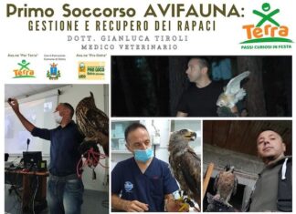 Per Terra a Ostra: convegno dedicato all’avifauna selvatica
