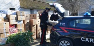 Montecassiano, coltivava marijuana in casa: ai domiciliari un 59enne