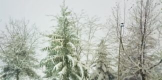 Marche, maltempo e chiusura scuole il 10 gennaio: ecco dove