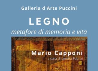 Ancona, galleria Puccini: “Legno metafore di memoria e vita” di Mario Capponi