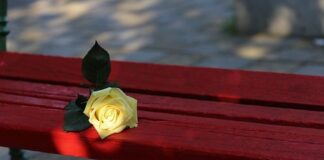 Camerino, Giornata per l’eliminazione della violenza contro le donne: incontro in Comune