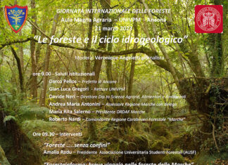 UnivPM celebra la Giornata delle Foreste e la Giornata dell’Acqua
