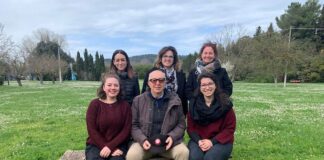 A Pesaro il 2 aprile “Miraviglia – Mercanti in gioco”