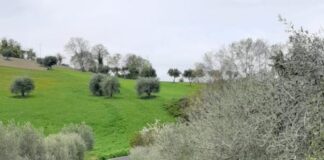 San Severino Marche, asfaltata la strada Serrone – Valle