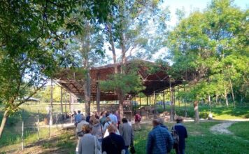 ‘Pisaurum Net’: i due tour gratuiti che svelano la storia antica di Pesaro