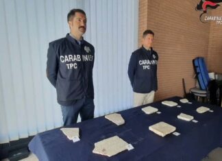 Ancona, Carabinieri TPC: ecco i dati dell’attività operativa dell’anno 2022