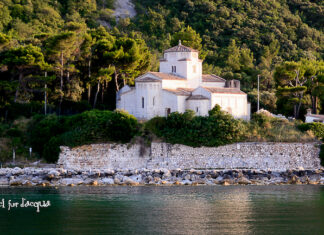 “Enoturismo delle Marche – dalla vigna alla tavola”, il 17 maggio a Portonovo
