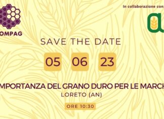 Loreto, Convegno Compag sulla filiera del grano duro