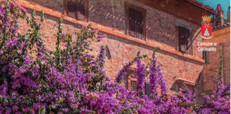 Corinaldo, ecco il calendario eventi dell’estate 2023