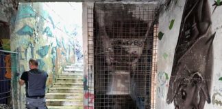 Macerata, controlli anti degrado della Polizia locale