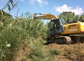 Marche: stanziati 1,6 milioni di euro per i Fiumi Nevola, Cesano e il Torrente Burano