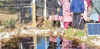 Osimo, inaugurata l’Aula Natura di WWF e Procter & Gamble