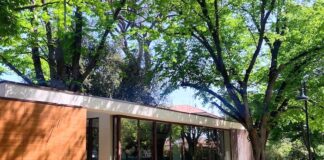 San Severino, il 4 maggio riapertura del chiosco e del giardino storico “Giuseppe Coletti”