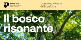 “Il bosco risonante”, dal 31 maggio il nuovo progetto di Pesaro 2024