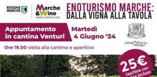 Il Wine Tour delle Marche nei territori dei due “Verdicchi”