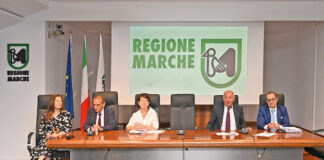 Ancona, Regione: avviata l’attività delle 15 Centrali Operative Territoriali (COT)
