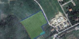 A Macerata la realizzazione di due nuovi boschi urbani