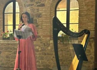 Le rondini di Monica Baldini