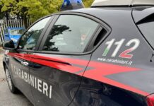 Macerata e Provincia, Controlli Carabinieri: una denuncia e una segnalazione
