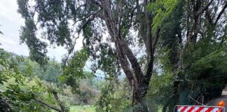 Pesaro, maltempo: riaperto a senso unico il Cavalcaferrovia SS16