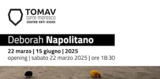 “Flock”, il progetto di Deborah Napolitano al Tomav
