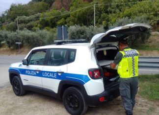Ascoli Piceno, sicurezza stradale: i controlli della Polizia Provinciale a settembre