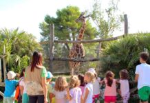 Settembre al Parco Zoo Falconara tra scienza, divertimento e natura: gli eventi