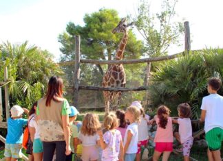 Settembre al Parco Zoo Falconara tra scienza, divertimento e natura: gli eventi