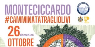 “Camminata tra gli Olivi”, il 26 ottobre 2025 a Pesaro