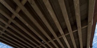 Pesaro, installazione grate contro i piccioni al cavalcaferrovia: modifiche alla viabilità