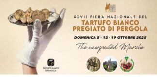 Fiera Nazionale del Tartufo Bianco Pregiato a Pergola