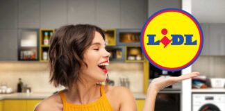 lidl logo donna felice in cucina