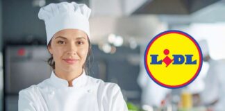 lidl logo chef donna cucina