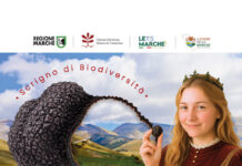 Le Terre del Tartufo 2025 a Pieve Torina: edizione rinnovata il 6 e 7 dicembre