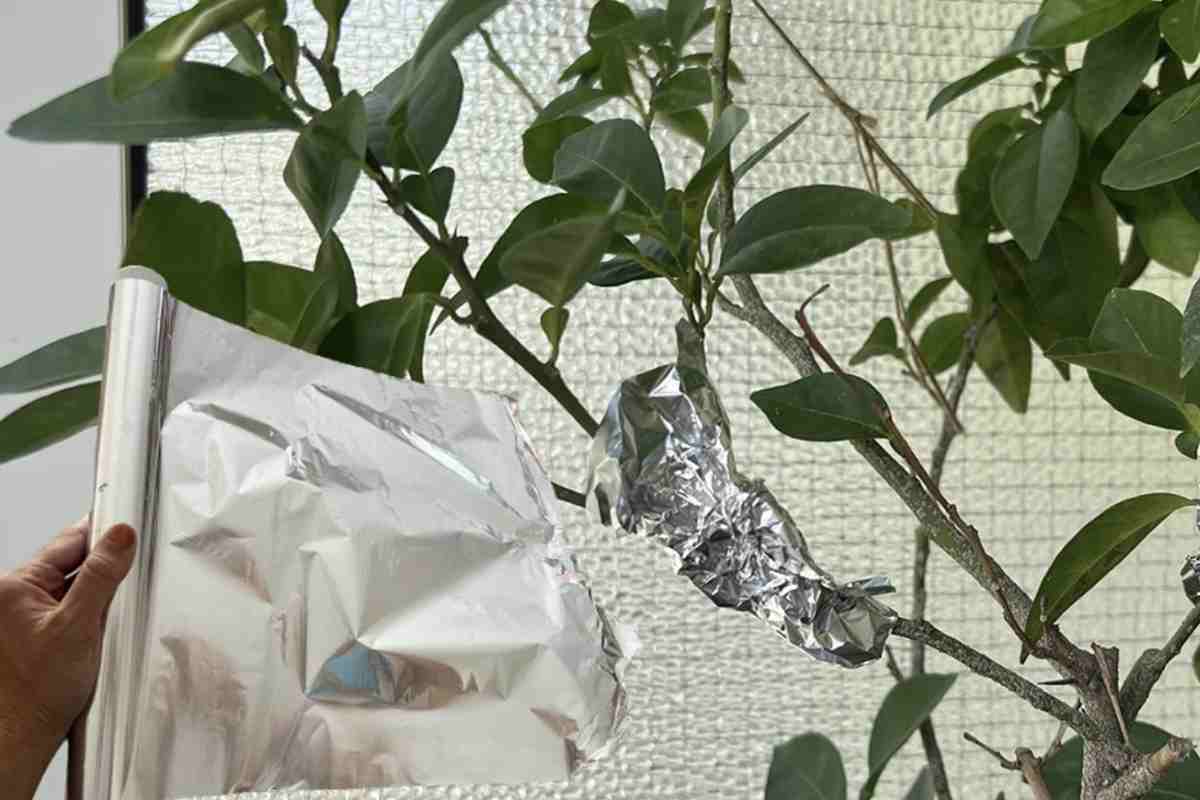 Il trucco della carta stagnola si inserisce perfettamente nel panorama delle tecniche di giardinaggio ecologico,