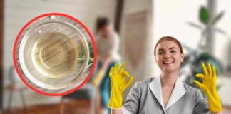 pulire casa con l'aceto: tutti gli utilizzi