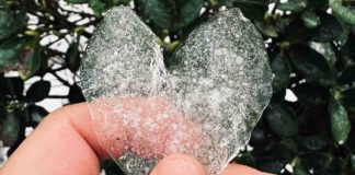 Ghiaccio a forma di cuore