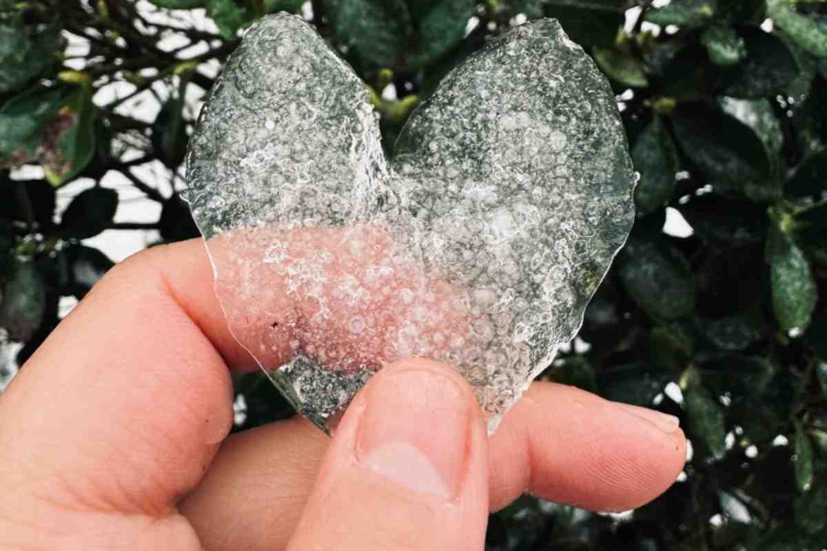 Ghiaccio a forma di cuore