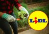 Il fai da te non è mai stato così semplice: da Lidl tutto quello che ti serve a due soldi lidl parkside fai da te giardino