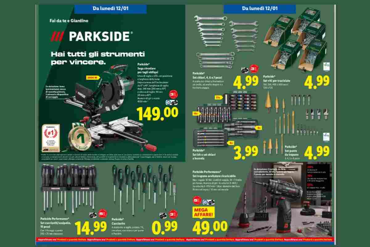 lidl parkside fai da te giardino