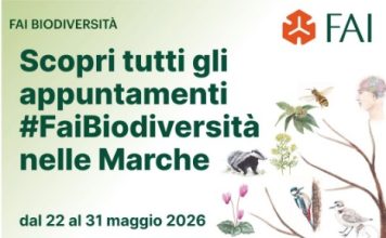 Faibiodiversità: 10 appuntamenti nelle Marche dal 22 al 31 maggio