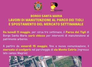 Pesaro, al via gli interventi di manutenzione del patrimonio arboreo del Parco dei Tigli