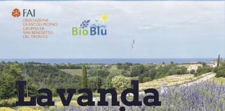 “Lavanda e Sensi” il 27 giugno a Massignano