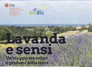 “Lavanda e Sensi” il 27 giugno a Massignano
