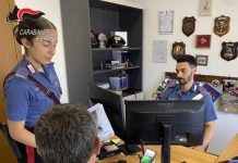 Truffe, controlli dei Carabinieri nel Fermano: 9 persone denunciate