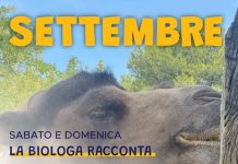 Parco Zoo Falconara: gli appuntamenti di settembre