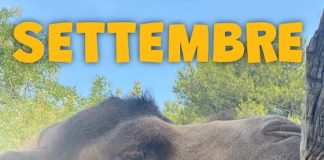 Parco Zoo Falconara: gli appuntamenti di settembre
