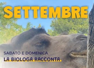 Parco Zoo Falconara: gli appuntamenti di settembre