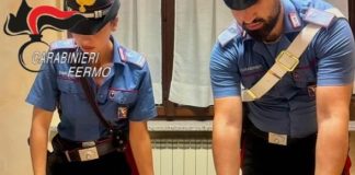 Contrasto a spaccio e consumo di droga: bilancio controlli dei carabinieri nel Fermano