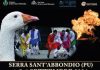 Il Palio della Rocca a Serra Sant’Abbondio dal 4 al 6 settembre 2026